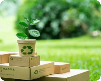 Going Green